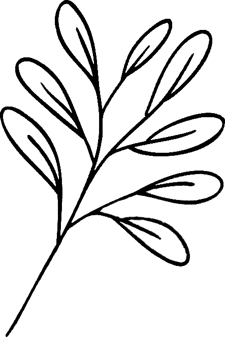 leaf